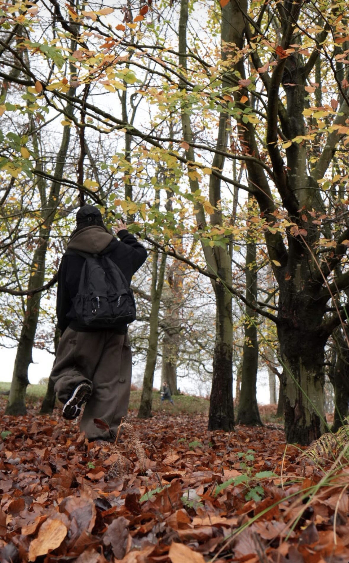 Walking along an autumn forest trail